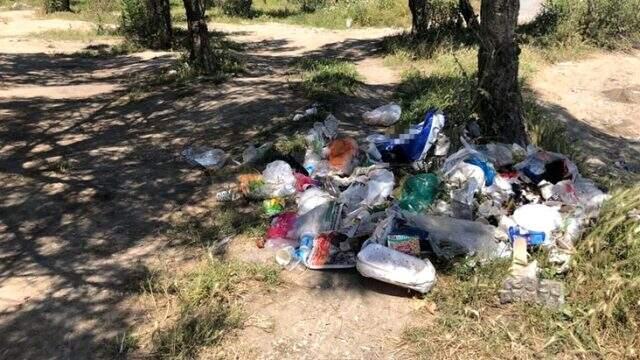 Şarkıcı Demet Akalın, parklardaki çöp birikintisi görüntülerine tepki gösterdi Şarkıcı Demet Akalın, parklardaki çöp birikintisi görüntülerine tepki gösterdi