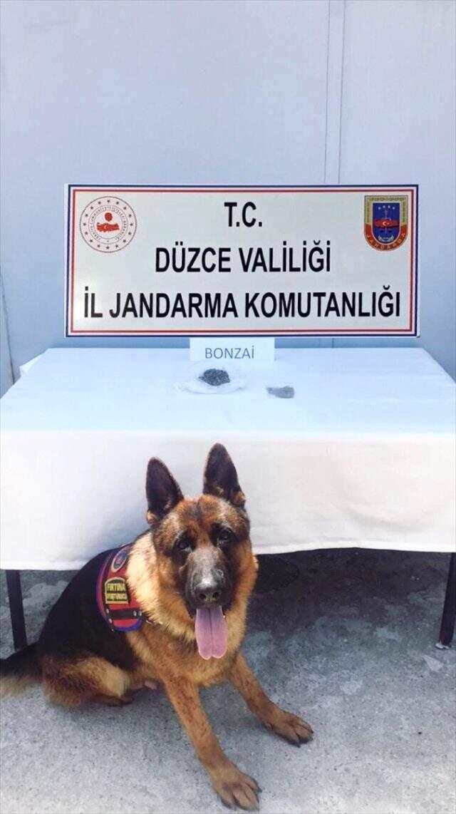 Sürücünün ayakkabı tabanına gizlenmiş uyuşturucuyu narkotik köpeği