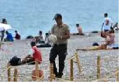 Yavru deniz kaplumbağası sahilde ölü bulundu Yavru deniz kaplumbağası sahilde ölü bulundu