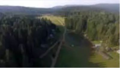 Batı Karadeniz yaylaları normalleşme süreciyle şenlendi - DÜZCE Batı Karadeniz yaylaları normalleşme süreciyle şenlendi - DÜZCE