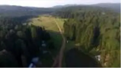 Batı Karadeniz yaylaları normalleşme süreciyle şenlendi - DÜZCE Batı Karadeniz yaylaları normalleşme süreciyle şenlendi - DÜZCE
