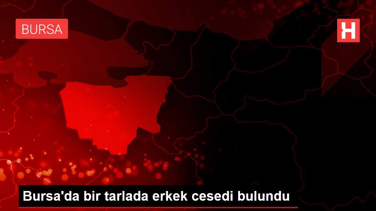 Bursa'da bir tarlada erkek cesedi bulundu