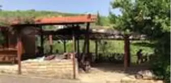 Tandır Ekmeği: Çamurdan gelen lezzet...Tandır ekmeği Hataylı kadınların geçim kaynağı oldu Tandır Ekmeği: Çamurdan gelen lezzet...Tandır ekmeği Hataylı kadınların geçim kaynağı oldu