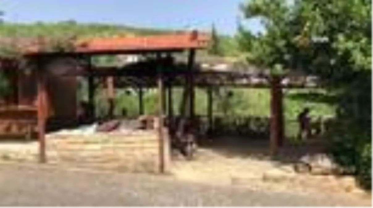 Çamurdan gelen lezzet...Tandır ekmeği Hataylı kadınların geçim kaynağı oldu