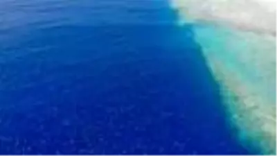 Dünyanın en büyük yeşil kaplumbağa yuvaları ilk kez drone ile görüntülendi