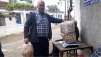 Kaz Dağları'nın altın mantarı köylünün gelir kapısı oldu Kaz Dağları'nın altın mantarı köylünün gelir kapısı oldu
