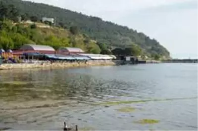 Ocaklar muhtarından yetkililere çağrı