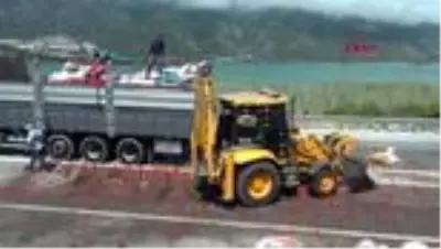 ANTALYA Biber yüklü TIR devrildi ANTALYA Biber yüklü TIR devrildi