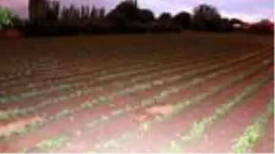 Burdur'da sağanak ve ceviz büyüklüğündeki dolu, tarım alanlarını vurdu Burdur'da sağanak ve ceviz büyüklüğündeki dolu, tarım alanlarını vurdu