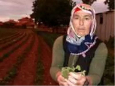 Burdur'da sağanak ve ceviz büyüklüğündeki dolu, tarım alanlarını vurdu Burdur'da sağanak ve ceviz büyüklüğündeki dolu, tarım alanlarını vurdu