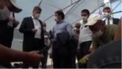 Büyükşehir’den seracılara destek