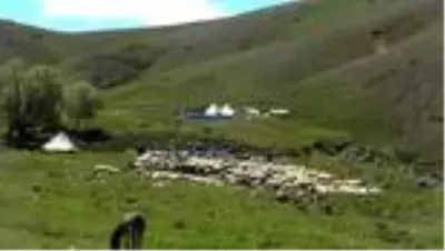 Göçerlerin Munzur ve Mercan dağlarındaki zorlu yayla yaşamı