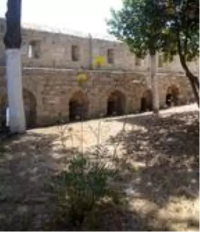 Güvercinada'da özel alandaki 'tülüşah' çiçek açtı Güvercinada'da özel alandaki 'tülüşah' çiçek açtı
