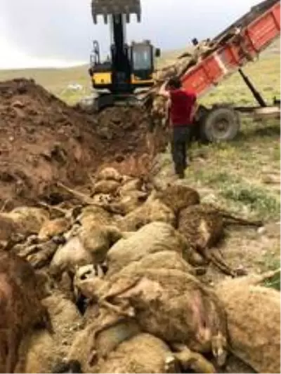 Haymana Ziraat Odasından telef olan küçükbaş hayvanlarla ilgili açıklama