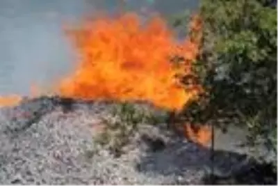 Manisa'da orman yangını; 50 dönüm alan zarar gördü
