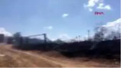 MANİSA Ormanlık alanla bağ ve bahçeler yangında zarar gördü