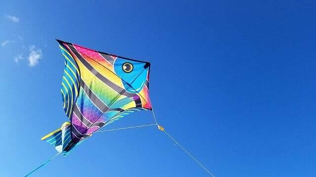 Ordu nerededir? Ordu'da gezilecek yerler nereler? Ordu'nun nesi meşhur?