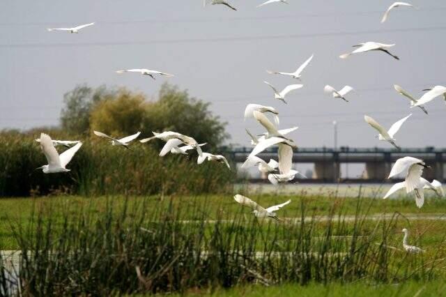 Osmaniye'de gezilecek yerler nereler? Osmaniye'nin nesi meşhur?