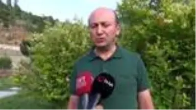 Ters laleler Artvin’in yüksek yaylarını süslüyor