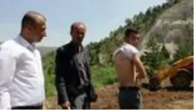 Tırtıl istilasına uğrayan köylerde kuş, keklik ve karıncalarla önlem alınacak - SİVAS