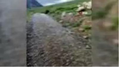 Yaylada doluya yakalandılar