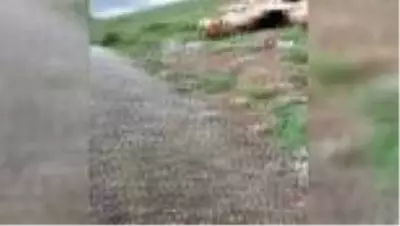 Yaylada doluya yakalandılar