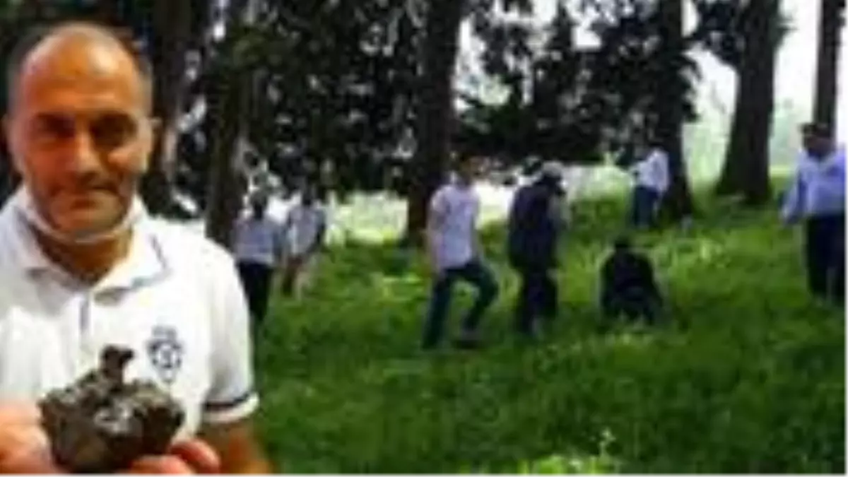 10 yaşındaki kızın bahçede gezerken bulduğu gök taşı, ailesini sevince boğdu: Allah'ın bize bir hediyesi