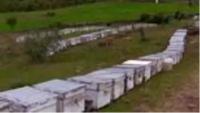 Gezginci arıcılar, çiçek balı ve polen üretimi için Kocatepe'yi tercih ediyor Gezginci arıcılar, çiçek balı ve polen üretimi için Kocatepe'yi tercih ediyor