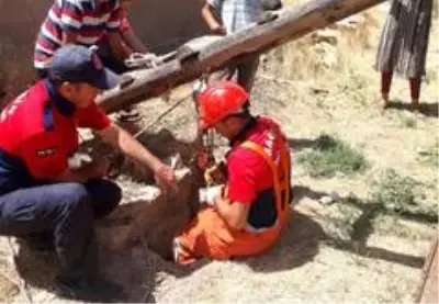 İtfaiye ekipleri kuyuya düşen yavru kedi için seferber oldu İtfaiye ekipleri kuyuya düşen yavru kedi için seferber oldu