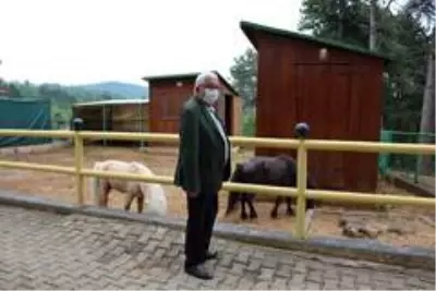 Kdz. Ereğli'de plaj, mesire ve piknik alanları yeniden hizmete açılıyor