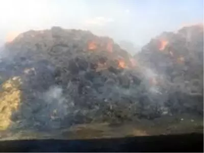 Saman balyaları kül oldu Saman balyaları kül oldu