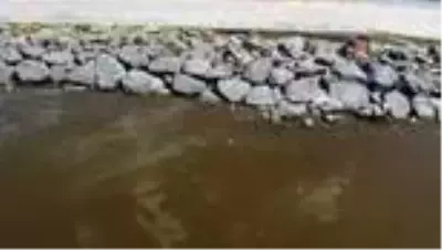 Temizlenerek maviliğe bürünen Haliç yeniden çamura döndü Temizlenerek maviliğe bürünen Haliç yeniden çamura döndü