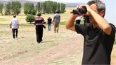Vatandaşların silahlanıp aslan avına çıktığı Çorum'da jandarmaya ihbar yağıyor Vatandaşların silahlanıp aslan avına çıktığı Çorum'da jandarmaya ihbar yağıyor