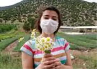 Kozmetik sektörünün mucizevi yağın litresi 40 bin liraya satılıyor Kozmetik sektörünün mucizevi yağın litresi 40 bin liraya satılıyor