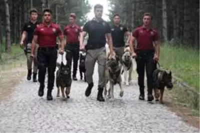 İstanbul'daki ormanların güvenliği polislere emanet İstanbul'daki ormanların güvenliği polislere emanet
