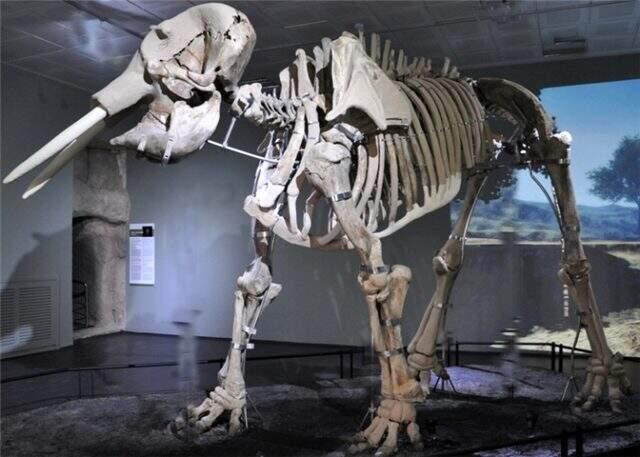 Kahramanmaraş'ta gezilecek yerler nereler? Kahramanmaraş'ın nesi meşhur?