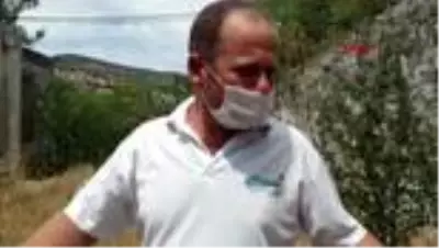 Son dakika haberi | MUĞLA Bodrum'da kayıp domuz yavrusu aranıyor