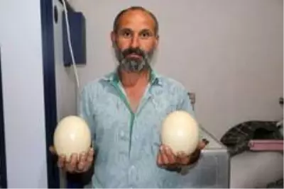8 yıl önce hobi olarak deve kuşu yetiştirmeye başlayan vatandaş, evinin bahçesine çiftlik kurdu 8 yıl önce hobi olarak deve kuşu yetiştirmeye başlayan vatandaş, evinin bahçesine çiftlik kurdu