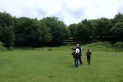 Son dakika haberi! Ormanda 1 çakal, 1 karga, 2 tilki, 1 köpek Son dakika haberi! Ormanda 1 çakal, 1 karga, 2 tilki, 1 köpek