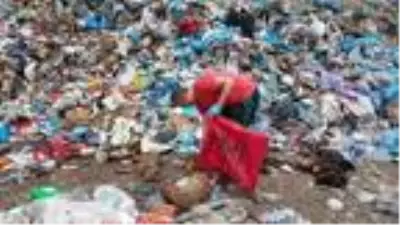 Piknik alanında, zehirlenen hayvan ölüleri bulundu Piknik alanında, zehirlenen hayvan ölüleri bulundu
