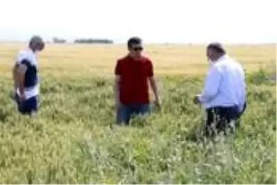 Yeşilhisar'da hasar tespit çalışmaları başladı Yeşilhisar'da hasar tespit çalışmaları başladı