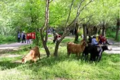 Girlevik Şelalesi'nde hafta sonu yoğunluğu