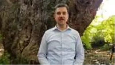 Türkiye'nin en yaşlı çınarı bin 100 yaşında Türkiye'nin en yaşlı çınarı bin 100 yaşında