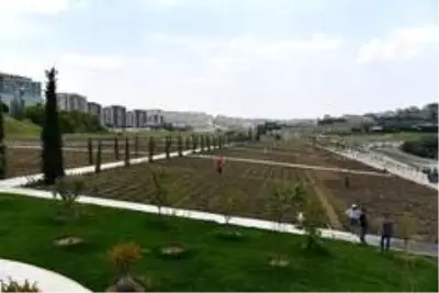 Başkan Çalık: Beylikdüzü tüm dünyada sembol oldu