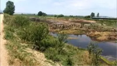Çevreye kamyonla tavuk pisliği döken şahsa 88 bin 500 lira ceza Çevreye kamyonla tavuk pisliği döken şahsa 88 bin 500 lira ceza