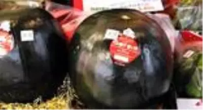 Dünyanın en pahalı meyvesi olan Densuke karpuzu, 2 bin dolara satıldı Dünyanın en pahalı meyvesi olan Densuke karpuzu, 2 bin dolara satıldı