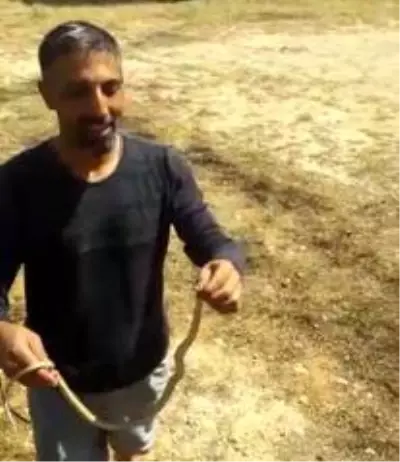 Evinde yakaladığı yılanı doğaya bıraktı