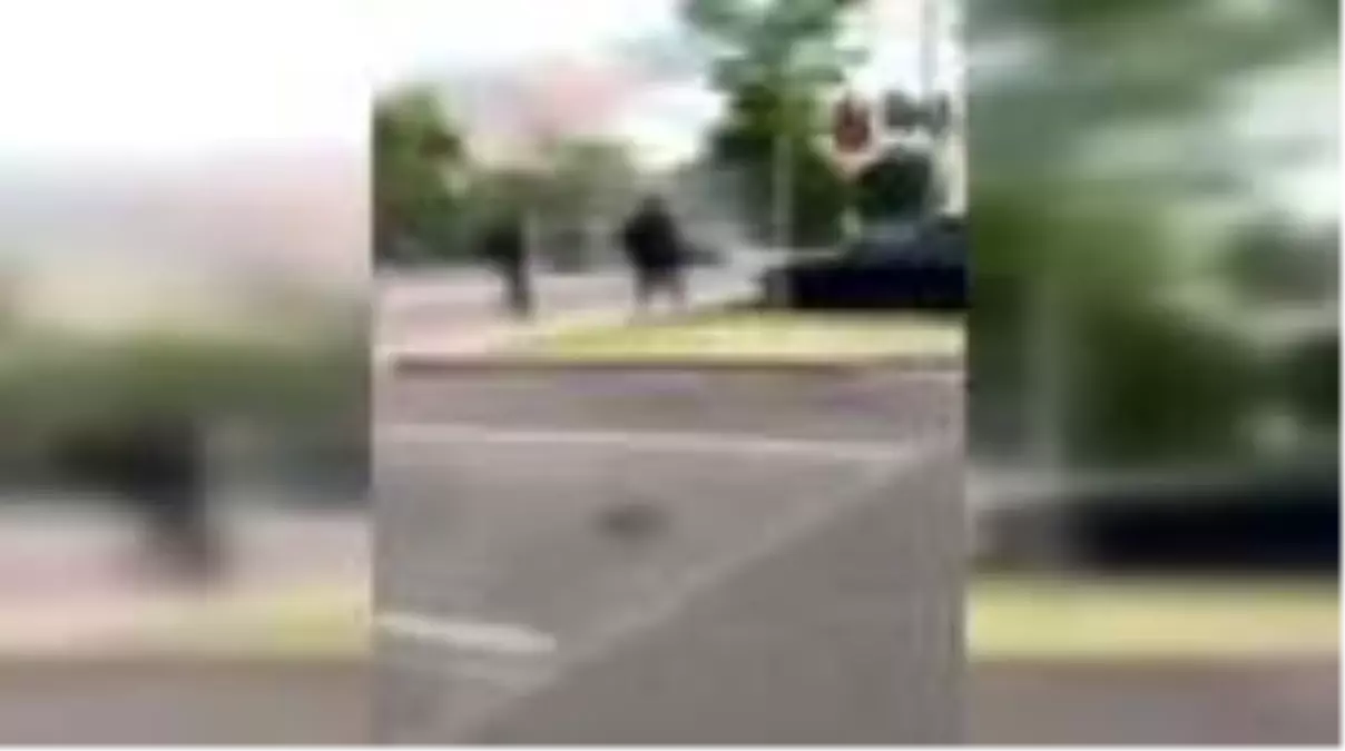 Fransa'da Çeçenler ve Araplar arasındaki silahlı çatışmalar sürüyor