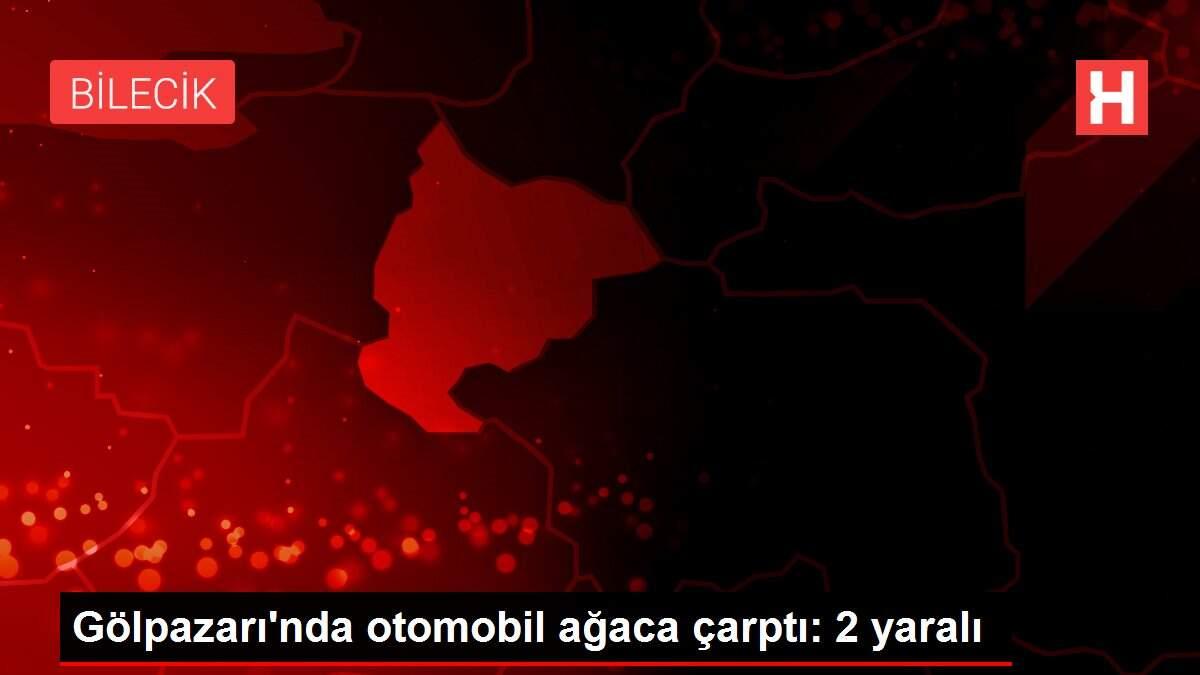 Gölpazarı'nda otomobil ağaca çarptı: 2 yaralı