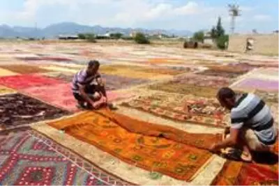 Halı tarlaları sezonu açtı, buğday arazilerinde renk cümbüşü yaşandı Halı tarlaları sezonu açtı, buğday arazilerinde renk cümbüşü yaşandı